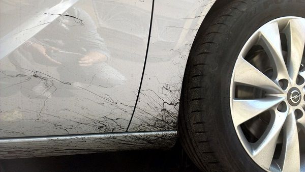 Catrame sul passaruota? Sticker che lasciano residui? Resina dell'albero che si è attaccato e che non va via? Ecco la soluzione!